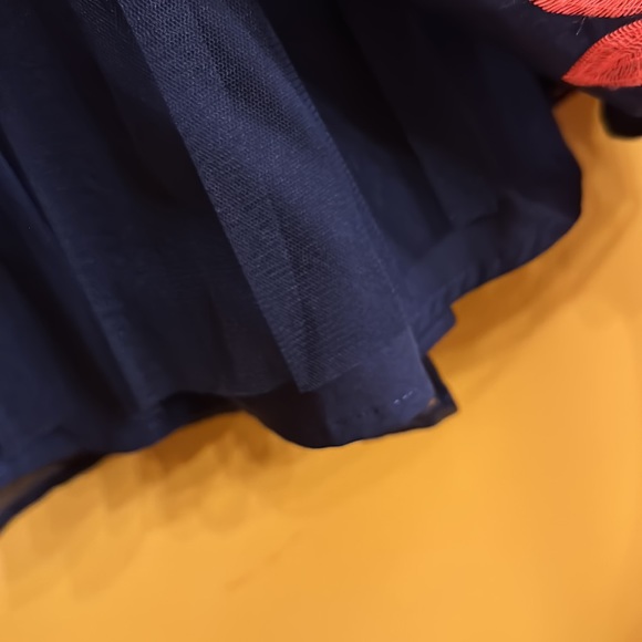 Maeve circle skirt lined and crinoline and sheer acetate embroiders top layer - Picture 4 of 6